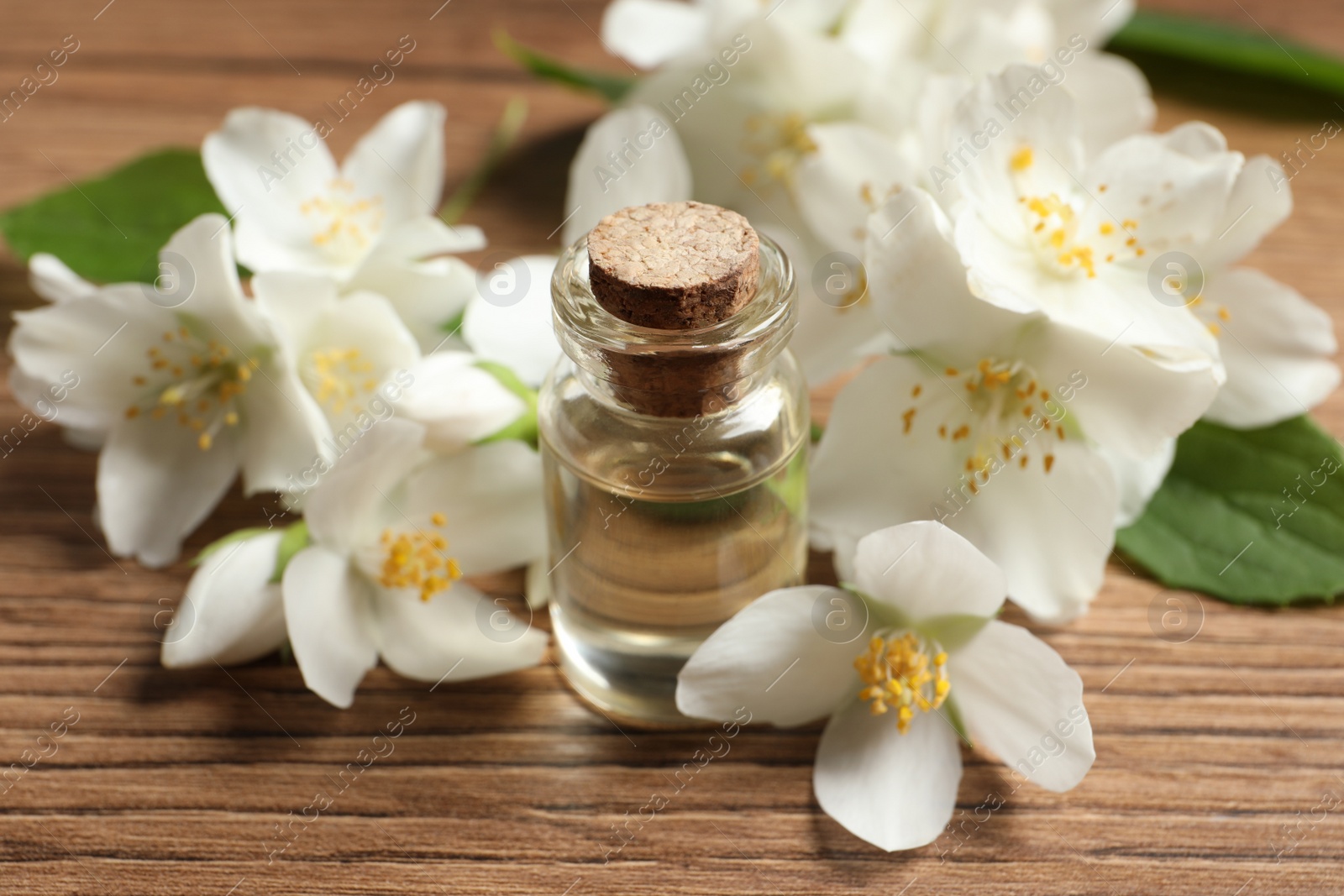 Photo of Jasmine essential oil and fresh flowers on wooden table