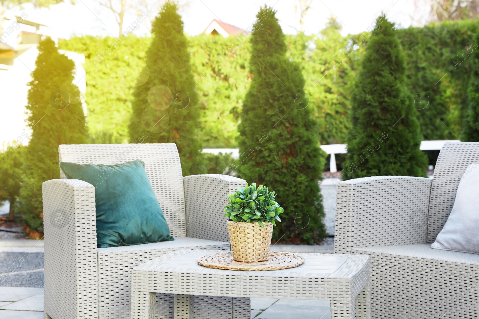 Photo of Beautiful rattan garden furniture, soft pillows and houseplant in backyard