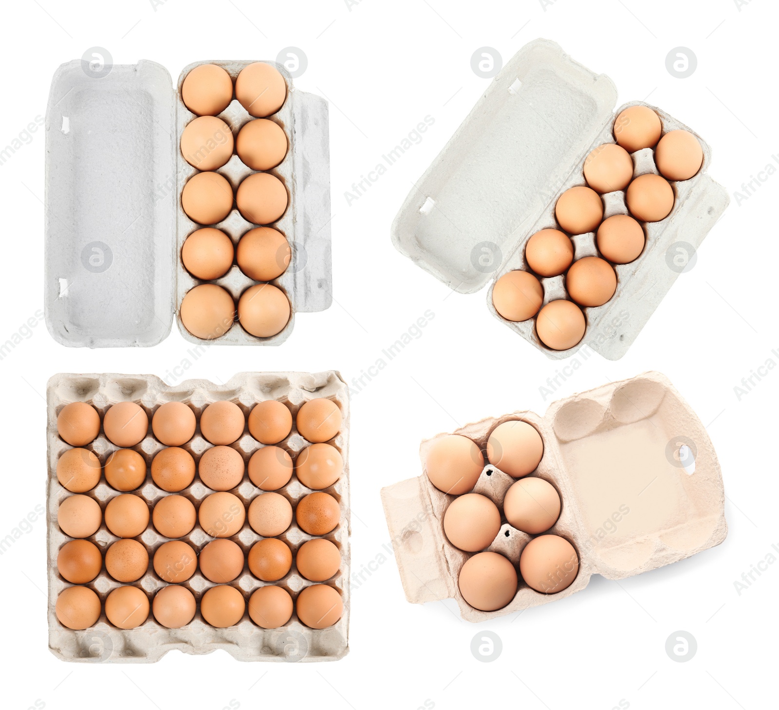 Image of Set of raw chicken eggs on white background, top view