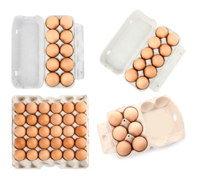 Image of Set of raw chicken eggs on white background, top view