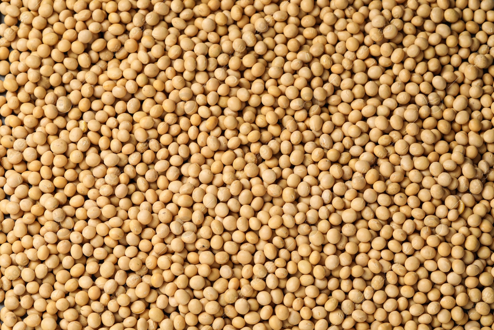 Photo of Heap of soy as background, top view