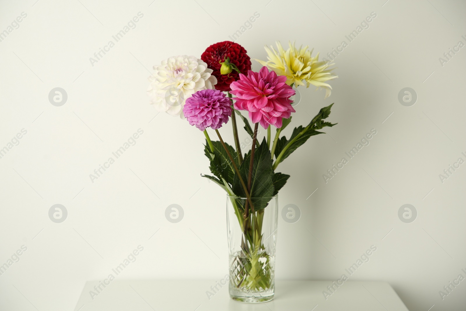 Photo of Bouquet of beautiful Dahlia flowers in vase on white table