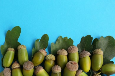 Many green acorns and oak leaves on light blue background, flat lay. Space for text