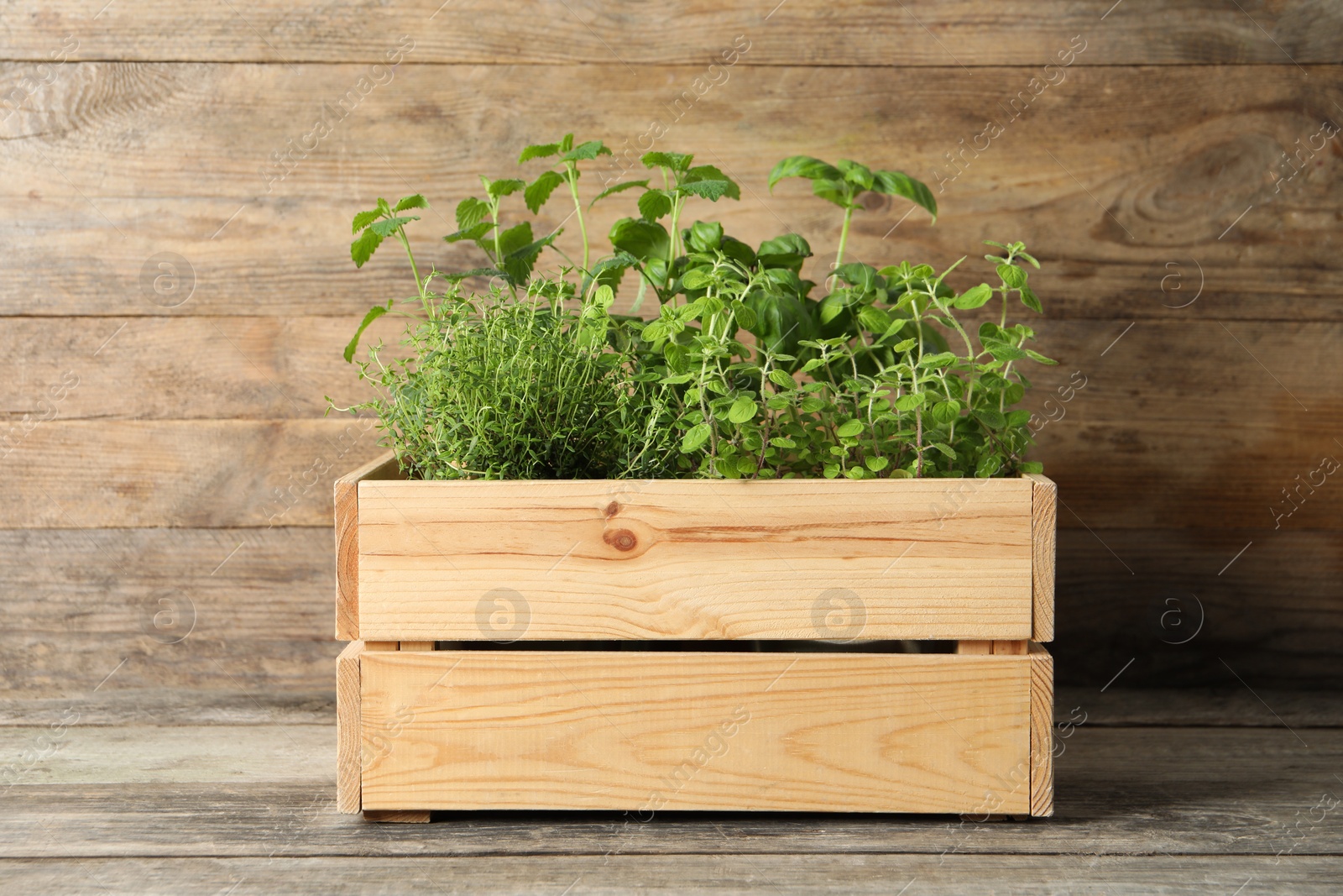 Photo of Crate with different aromatic herbs on wooden table