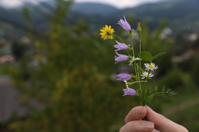 Woman holding blooming meadow flowers outdoors, closeup with space for text