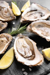 Photo of Delicious fresh oysters with lemon slices served on table