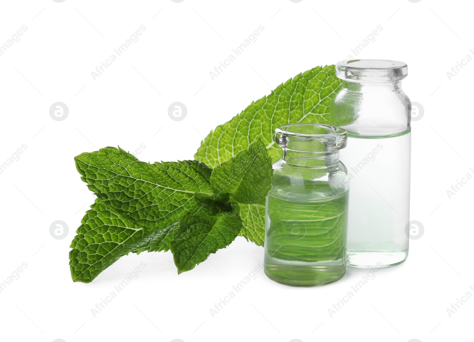 Photo of Bottles of essential oil and mint on white background