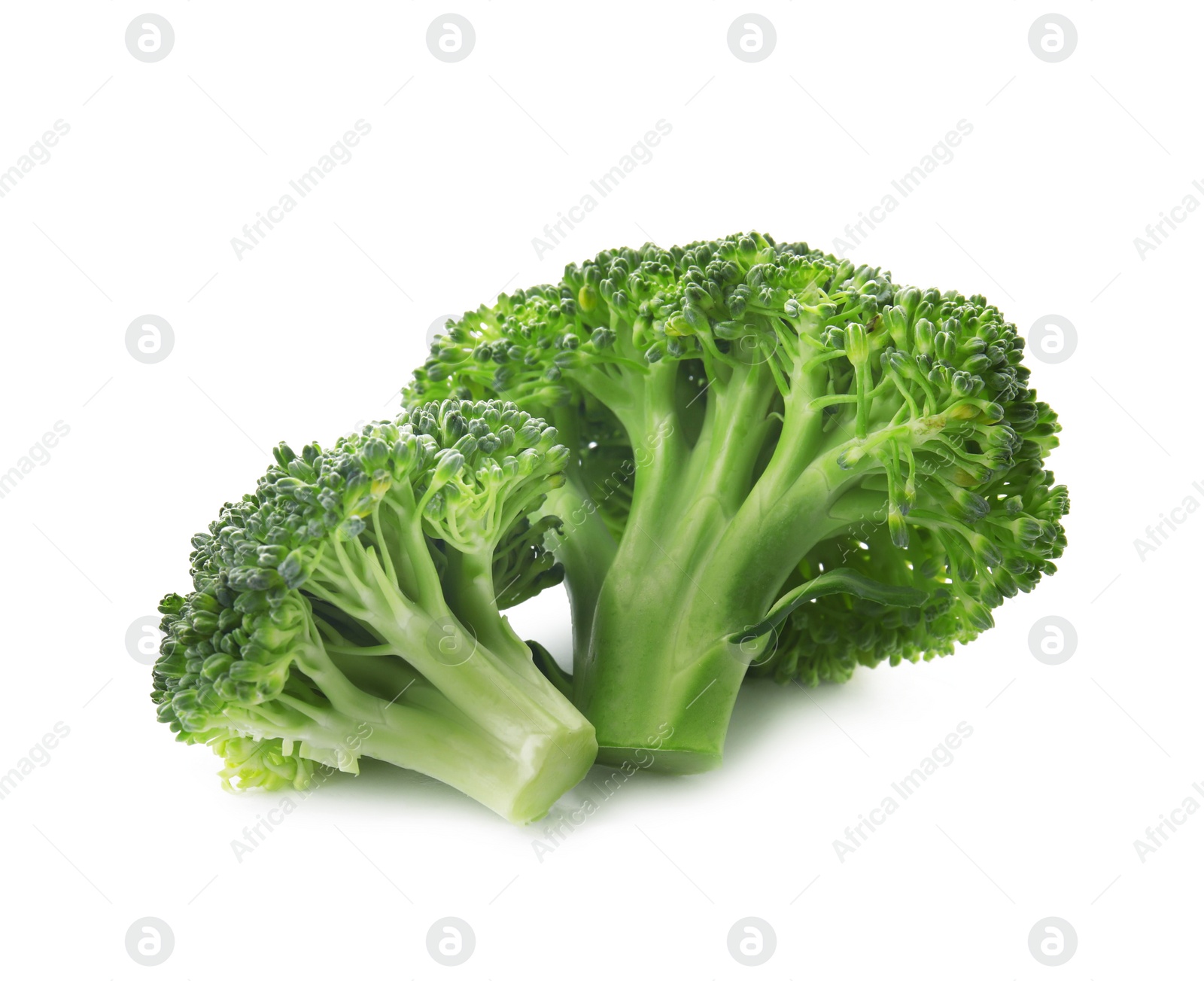 Photo of Fresh broccoli isolated on white. Edible green plant