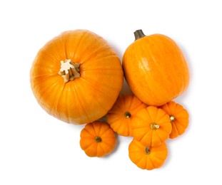 Photo of Fresh ripe pumpkins on white background, top view