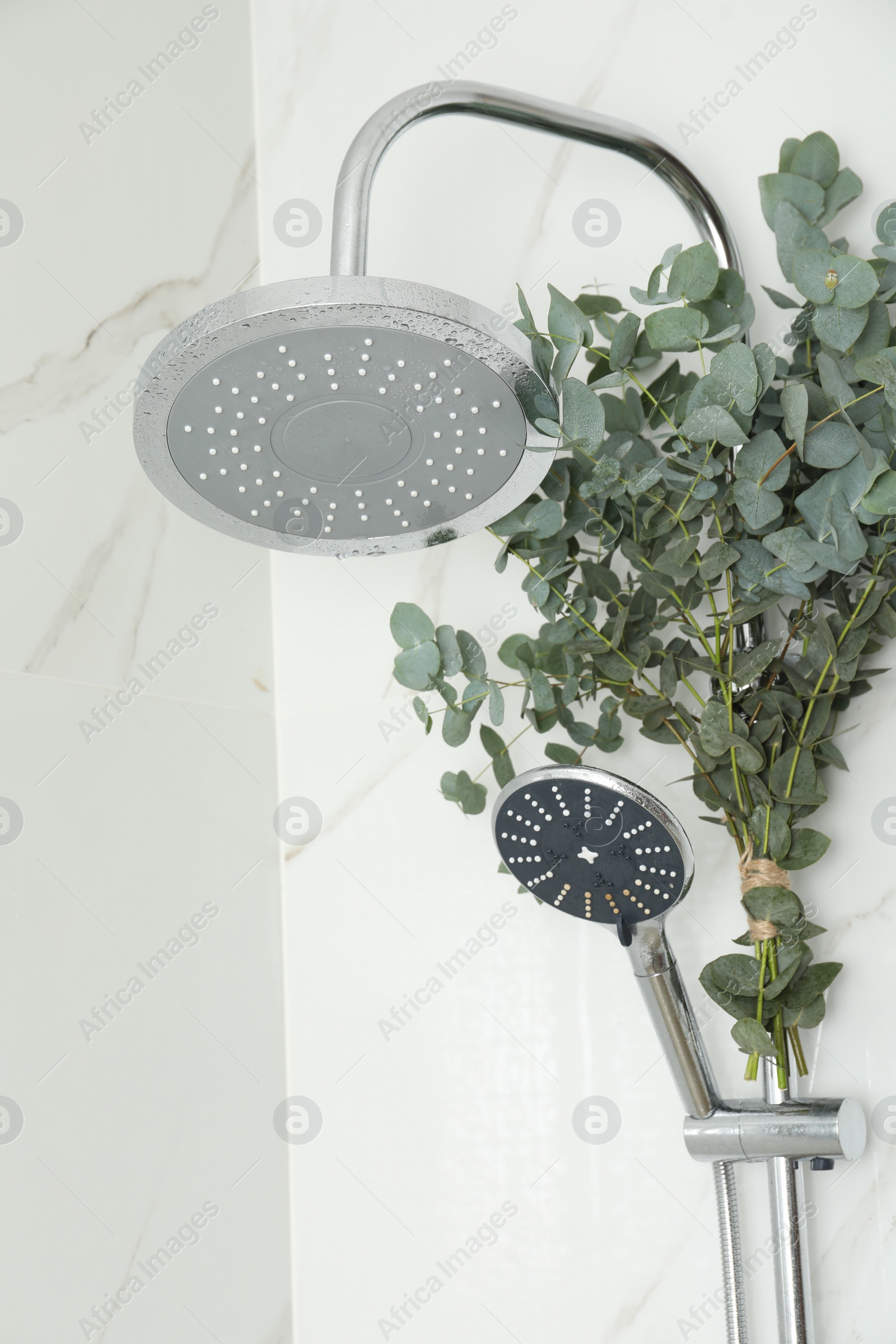 Photo of Branches with green eucalyptus leaves in shower