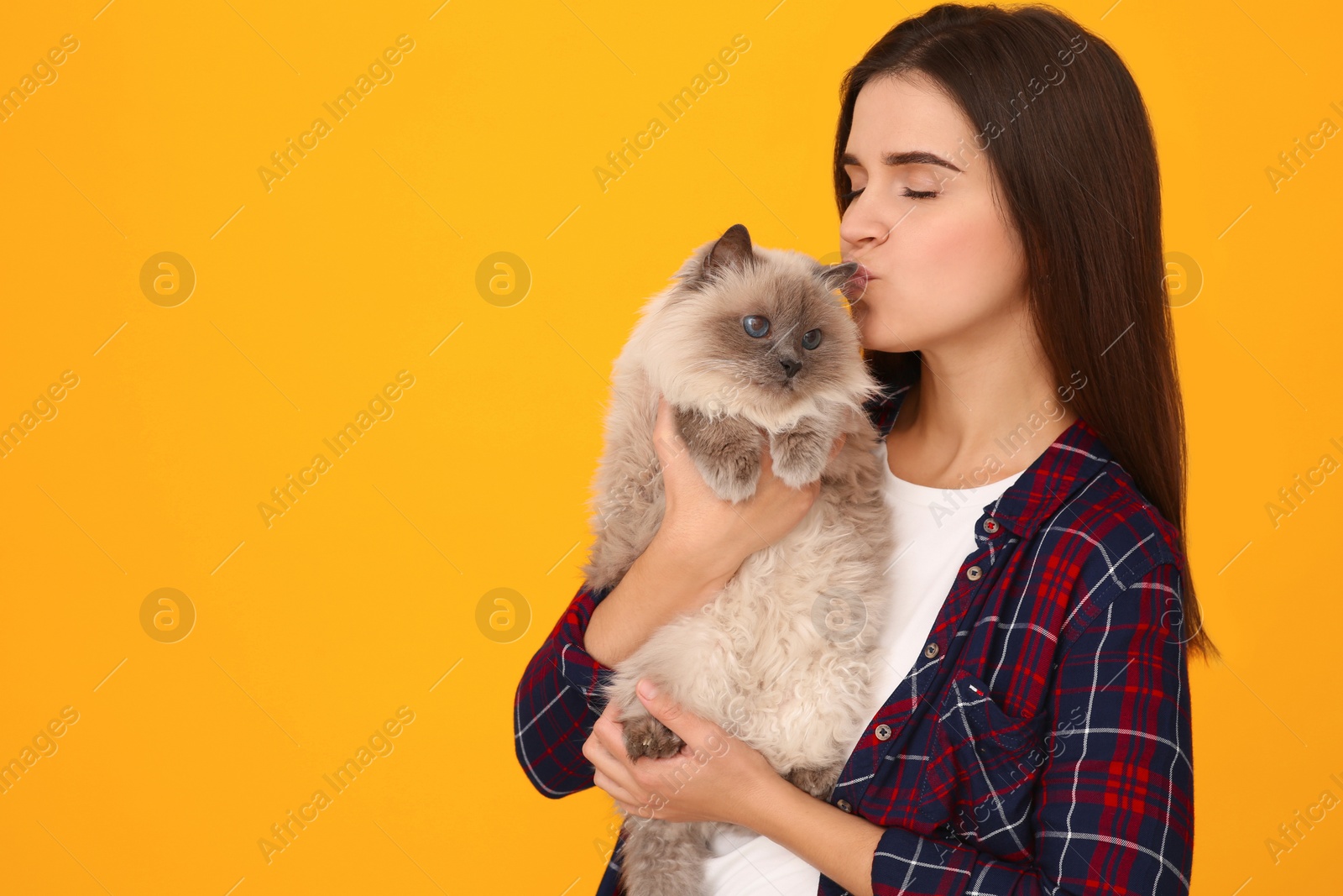 Photo of Woman kissing her cute cat on orange background, space for text