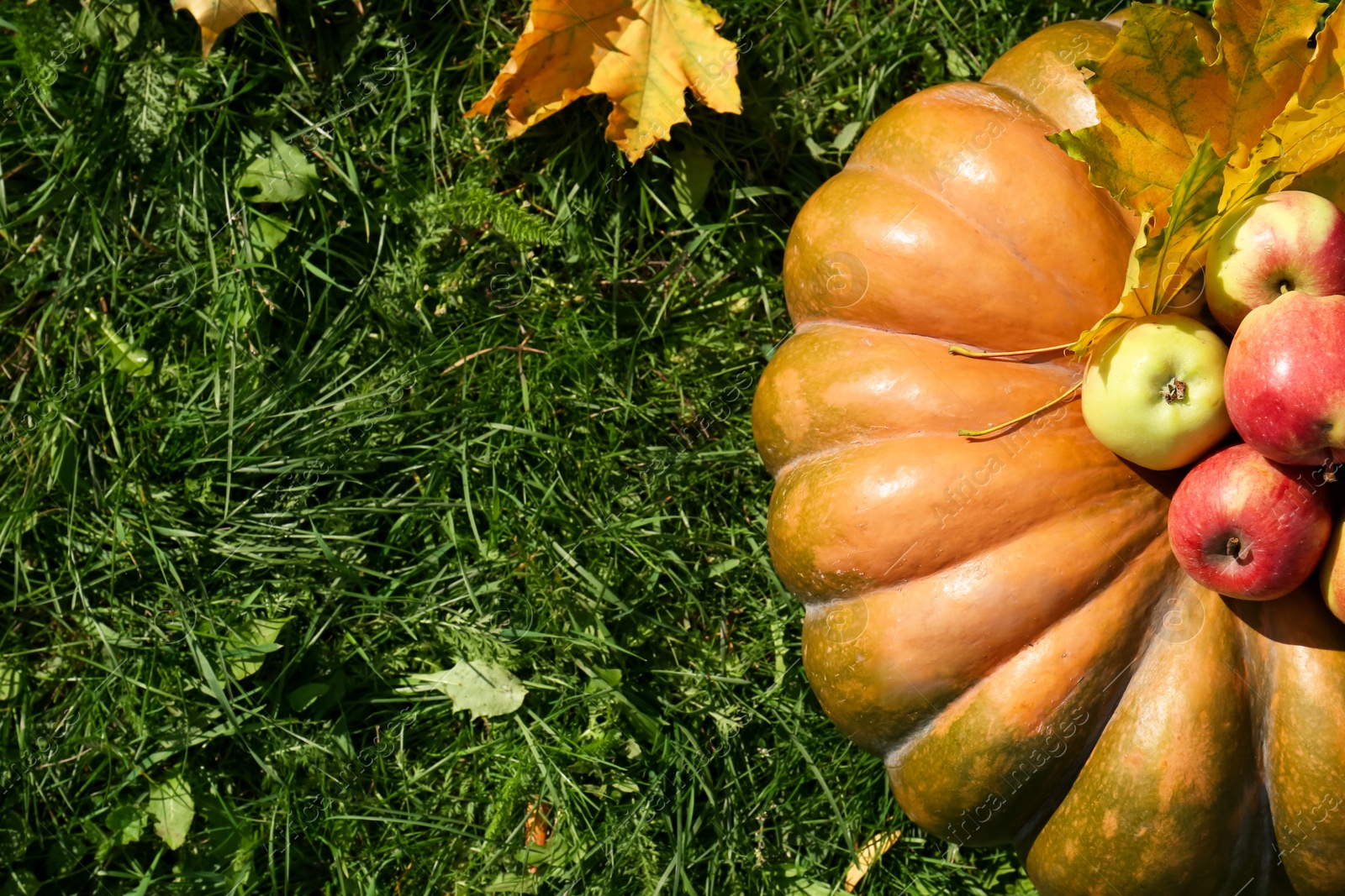 Photo of Ripe pumpkin, apples and maple leaves on green grass, flat lay with space for text. Autumn harvest