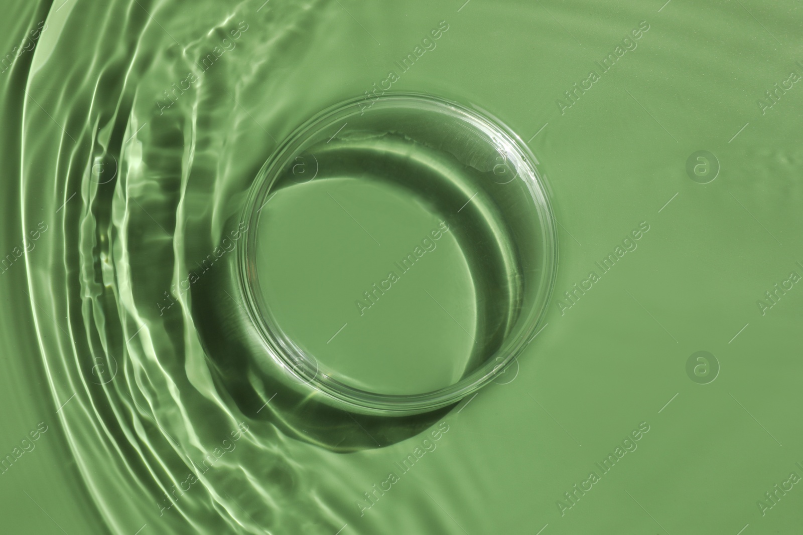 Photo of Stylish presentation for product. Glass podium in water on pale green background, top view