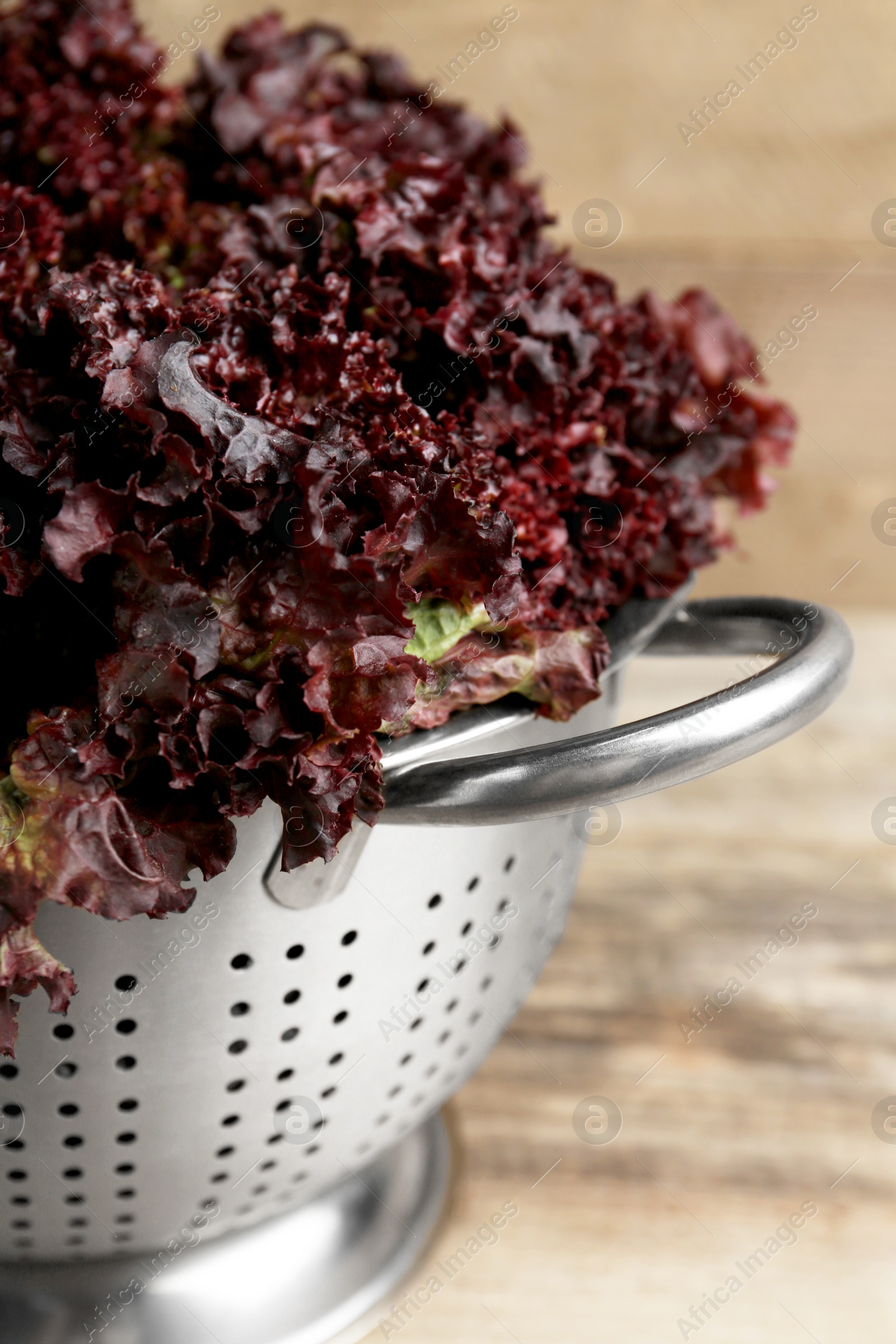 Photo of Colander with red coral lettuce on wooden table, closeup