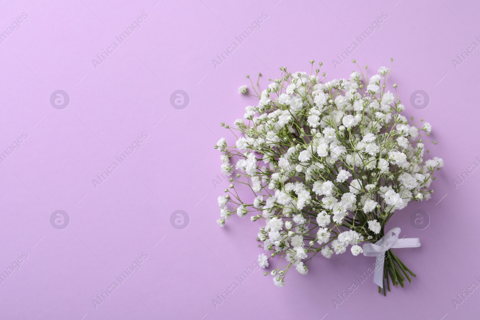 Photo of Beautiful gypsophila flowers tied with ribbon on violet background, top view. Space for text