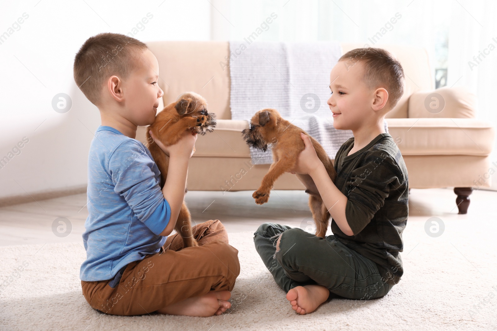 Photo of Portrait of cute boys with funny Brussels Griffon dogs at home. Loyal friends