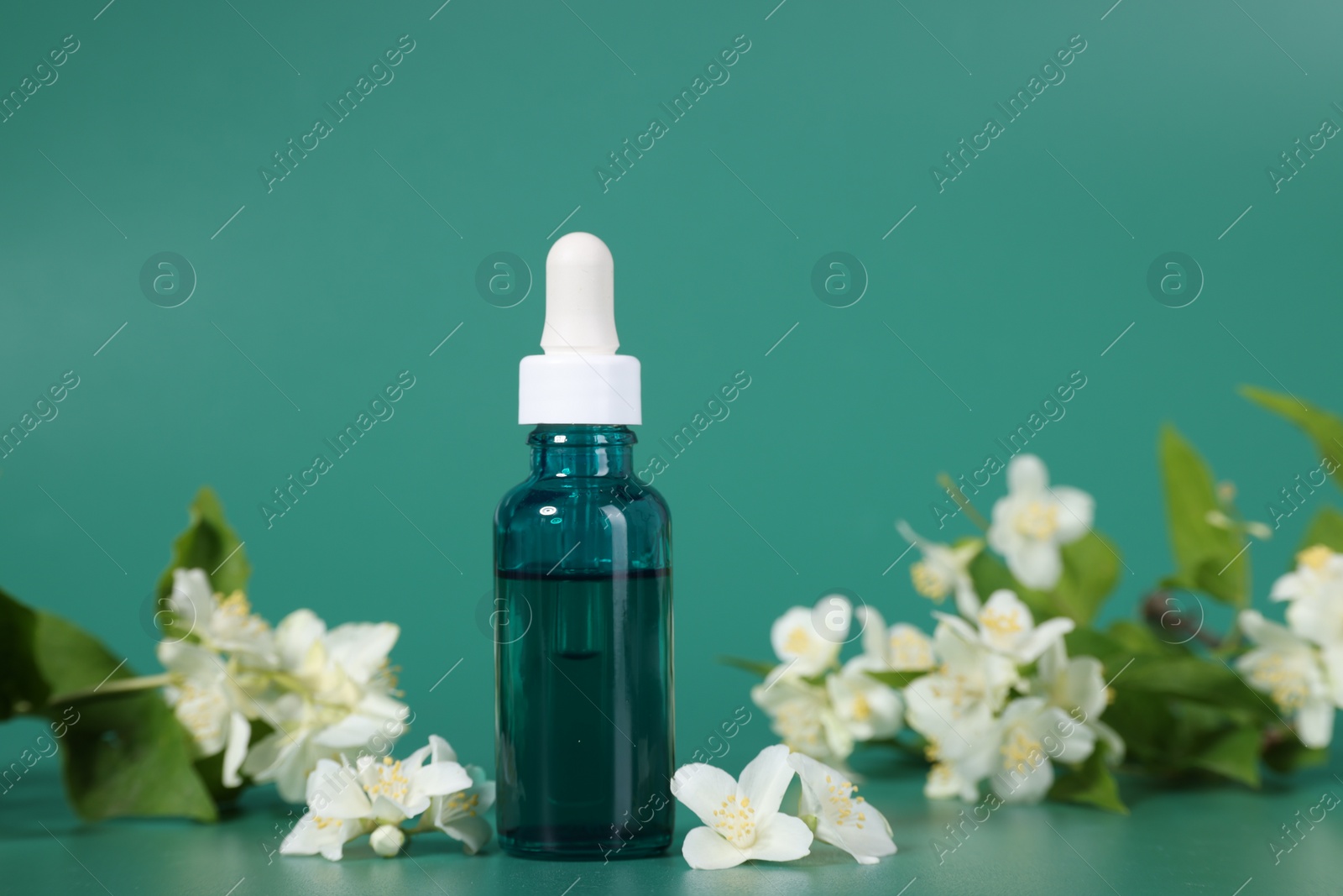 Photo of Essential oil in bottle and beautiful jasmine flowers on green background