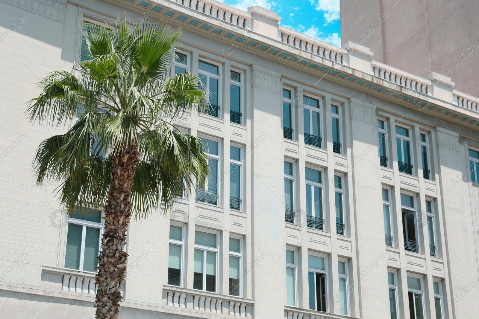 Photo of Beautiful green palm tree near building on sunny day