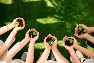 Photo of Group of volunteers holding soil with sprouts in hands outdoors, top view. Space for text