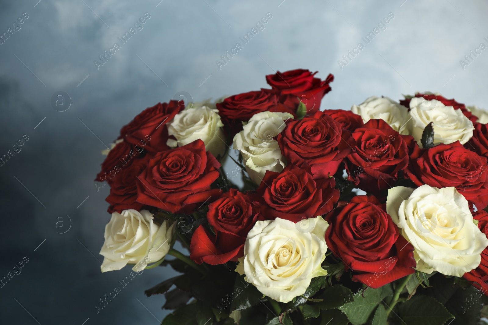 Photo of Luxury bouquet of fresh roses on light blue background, closeup