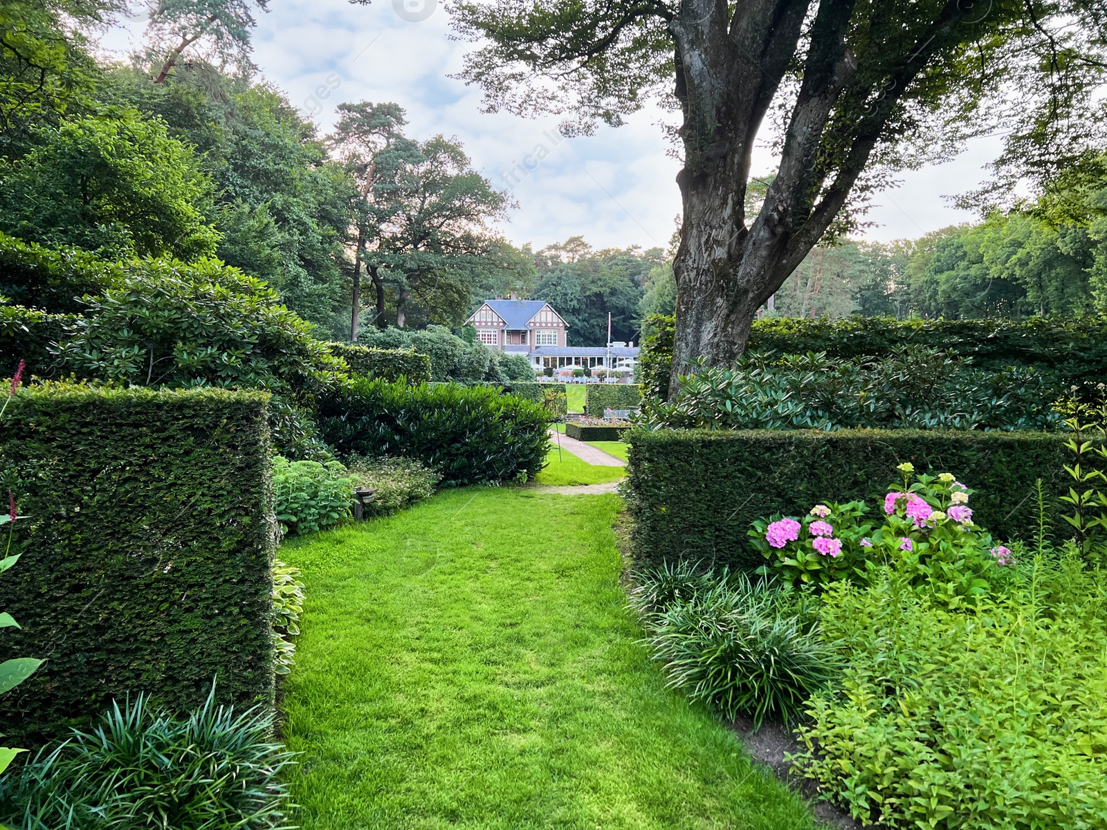 Photo of View of park with beautiful plants. Landscape design