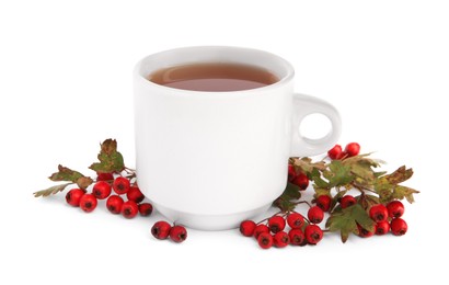 Aromatic hawthorn tea in cup and berries isolated on white