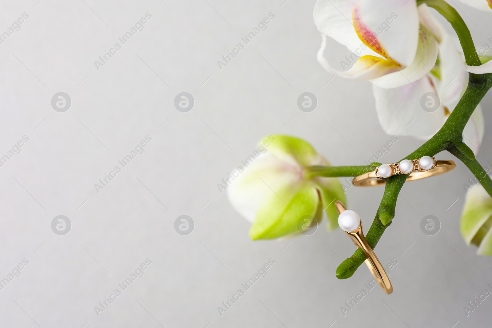 Photo of Elegant pearl rings and orchid flowers on white background, closeup. Space for text