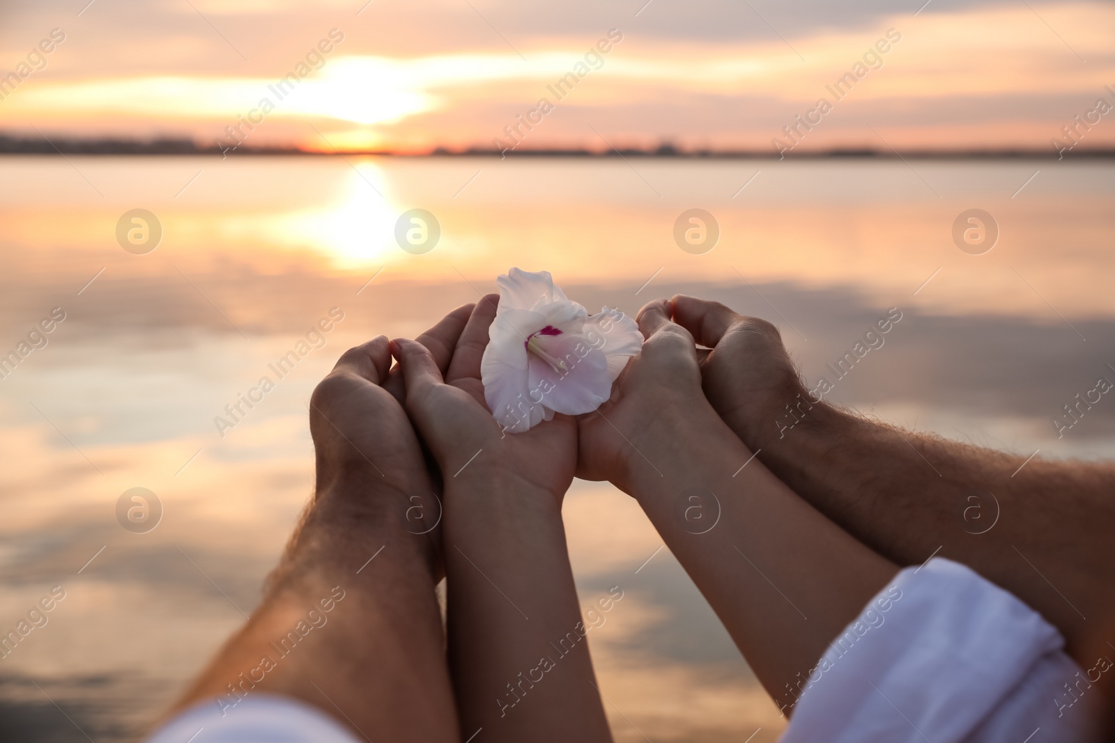 Photo of Couple with beautiful flower near river at sunset, closeup. Nature healing power