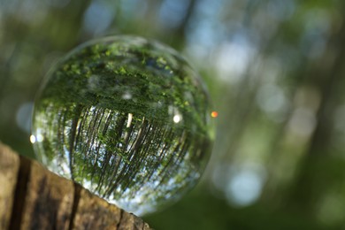 Beautiful green trees outdoors, overturned reflection. Crystal ball on stump in forest. Space for text