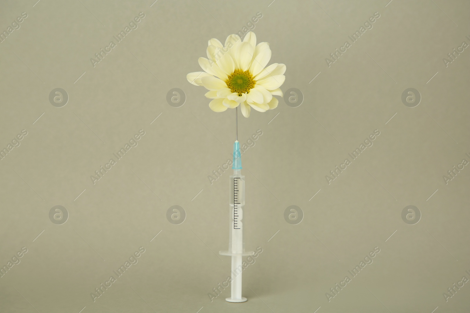 Photo of Medical syringe and chrysanthemum flower on light grey background