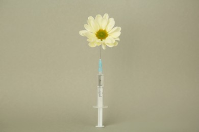 Medical syringe and chrysanthemum flower on light grey background