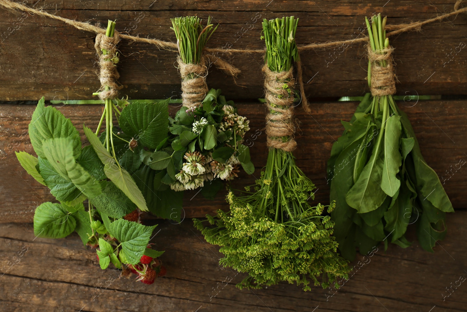 Photo of Bunches of different beautiful dried flowers hanging on rope near wooden wall