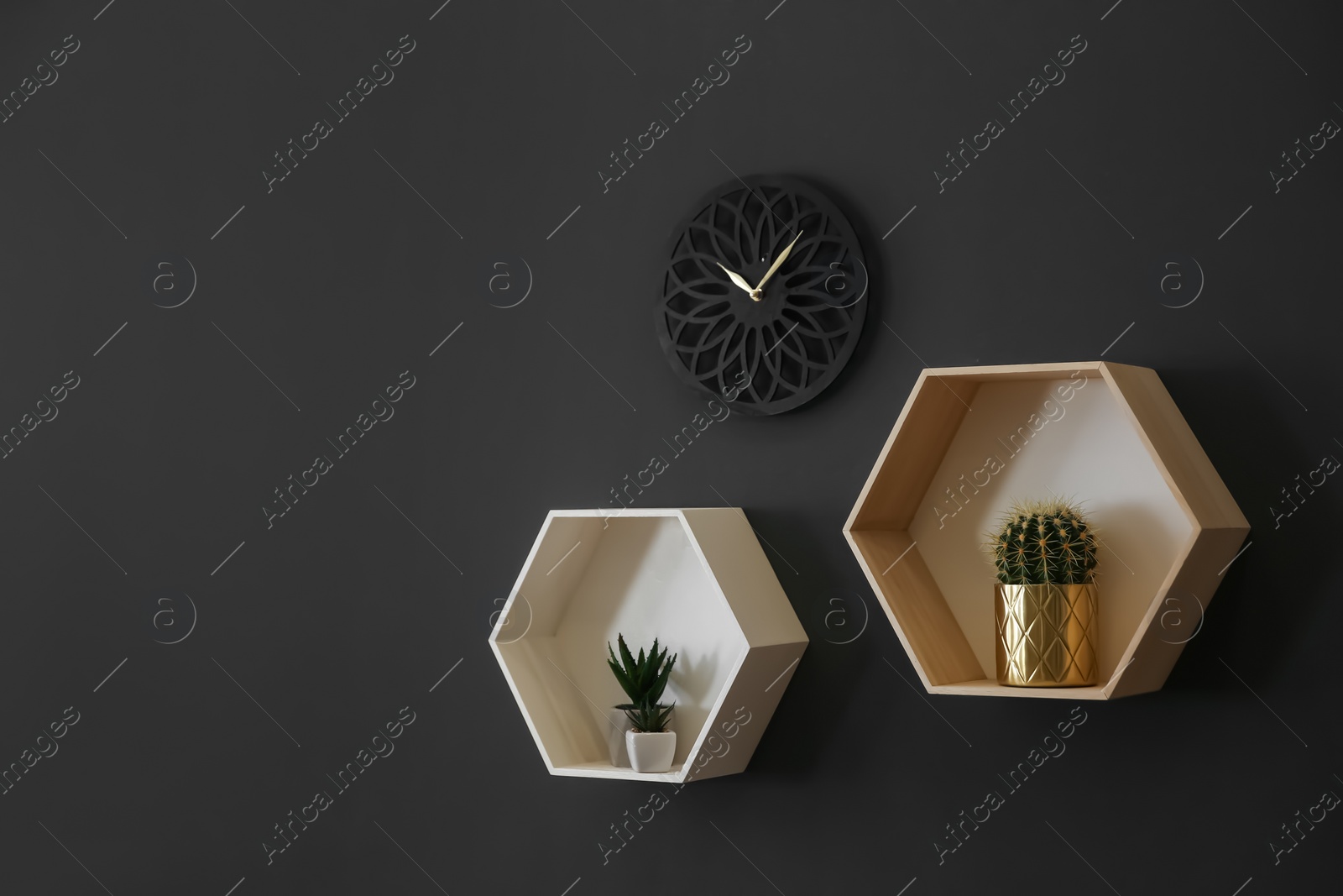 Photo of Clock and shelves with beautiful houseplants on black wall, space for text. Interior design