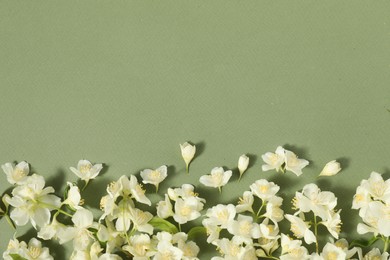 Beautiful jasmine flowers on pale green background, flat lay. Space for text