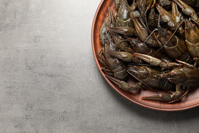 Photo of Fresh raw crayfishes on grey table, top view. Space for text