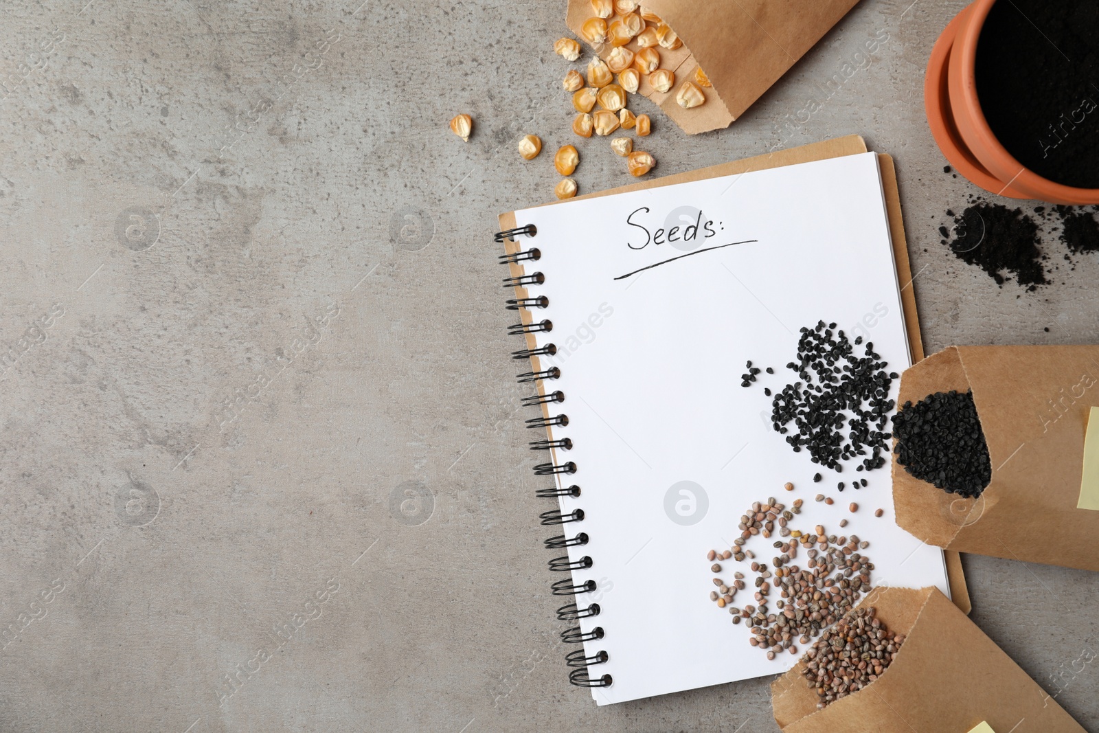 Photo of Vegetable seeds and notebook on grey table, flat lay. Space for text