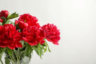 Vase with beautiful blooming peonies on light background