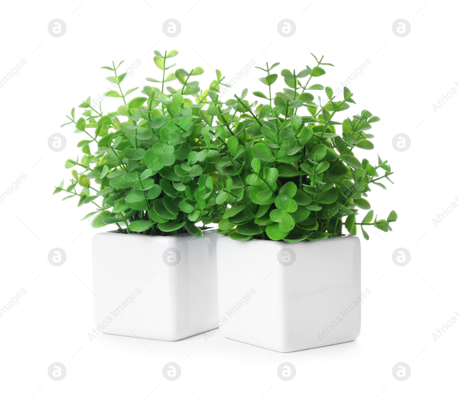 Photo of Beautiful artificial plants in flower pots isolated on white