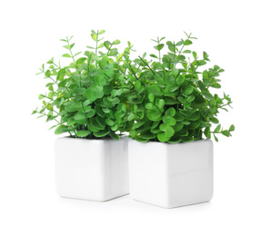 Photo of Beautiful artificial plants in flower pots isolated on white