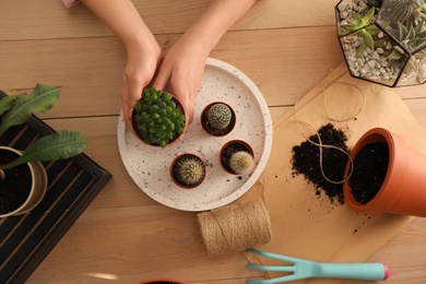 Photo of Woman taking care of home plants at wooden table, top view
