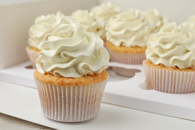 Photo of Tasty cupcakes with vanilla cream in box, closeup