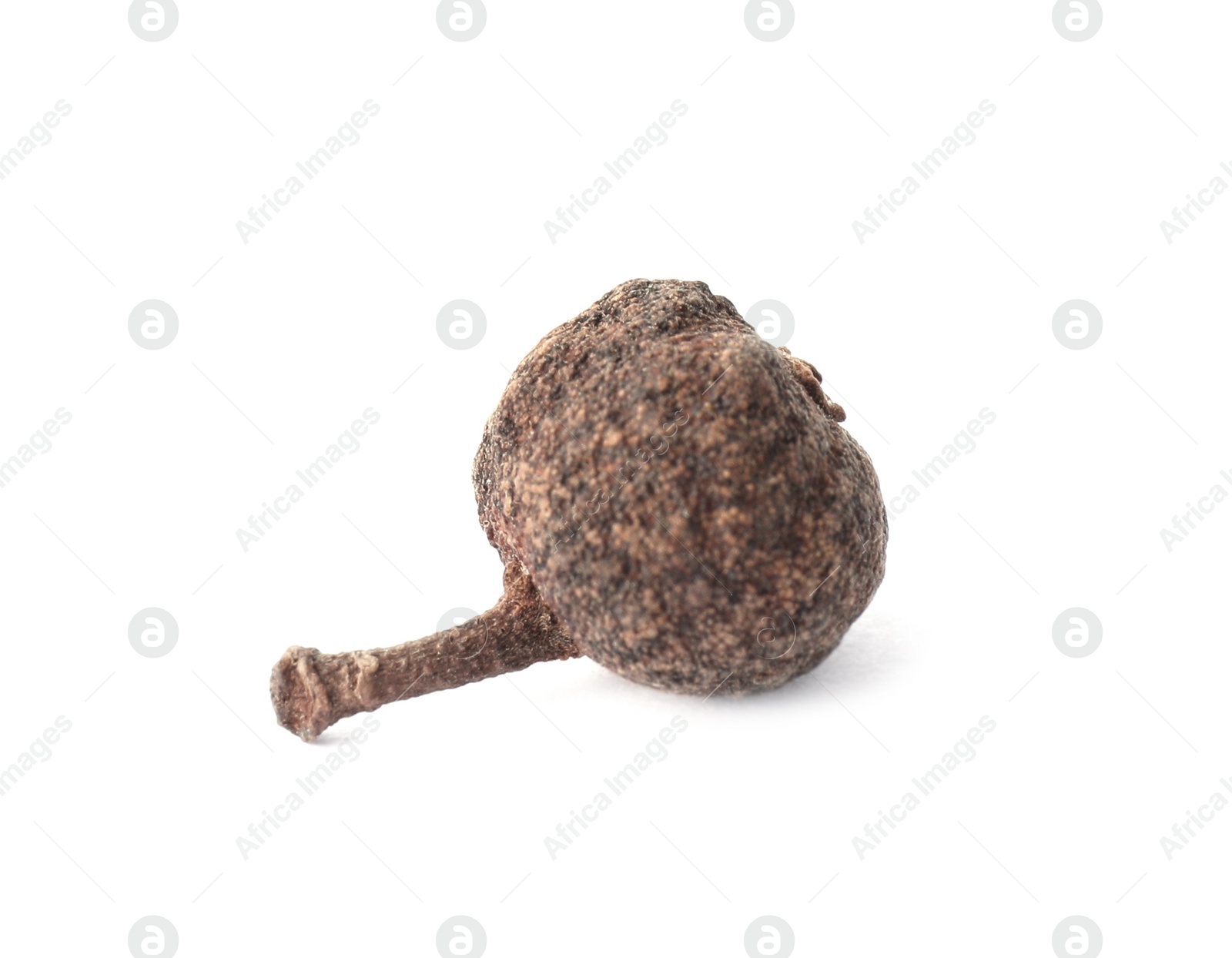 Photo of Spicy black pepper grain isolated on white