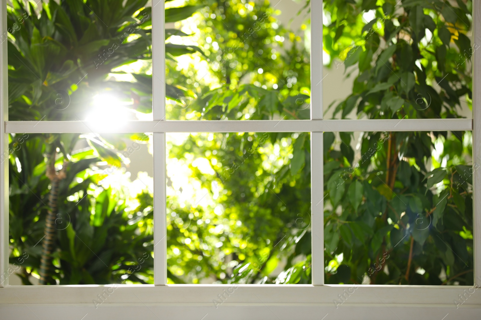 Photo of Beautiful view through window on garden in morning