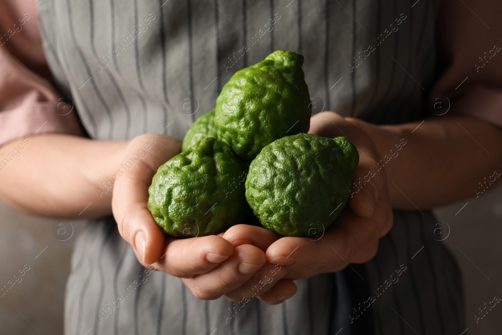 Photo of Woman holding pile of fresh ripe bergamot fruits on brown background, closeup