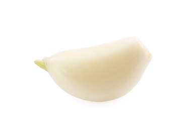 Photo of One peeled clove of garlic isolated on white