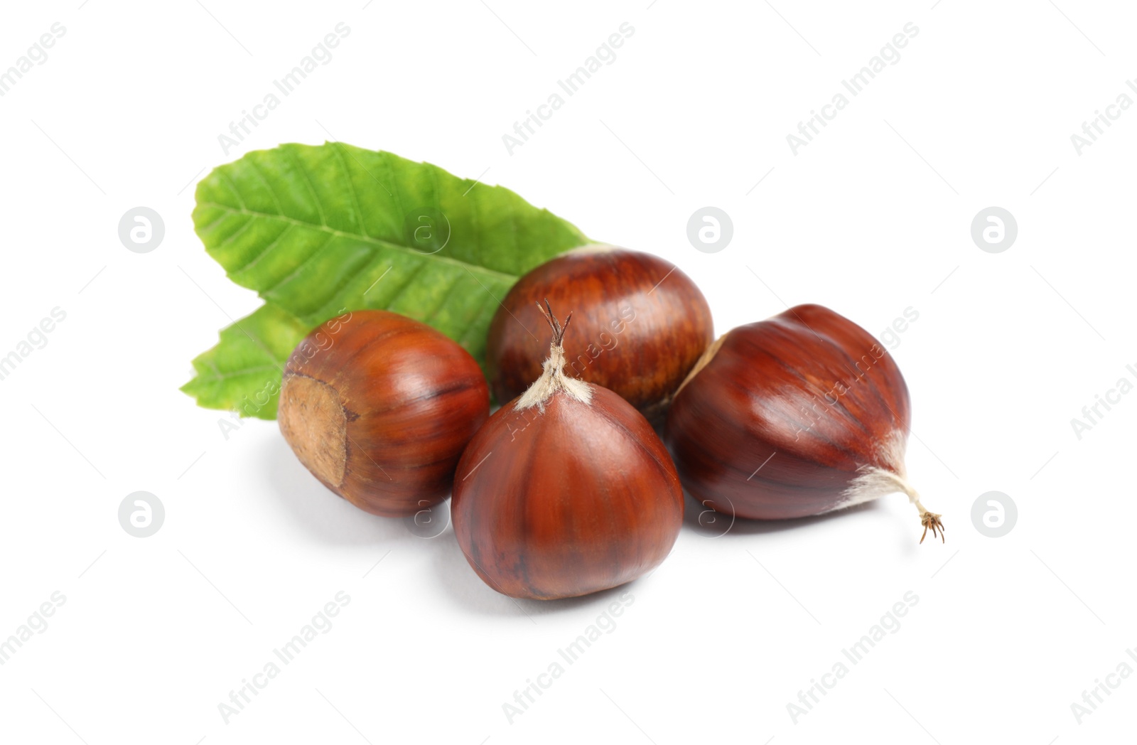 Photo of Fresh sweet edible chestnuts with green leaves on white background