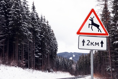Photo of Wild animals warning traffic sign near road with snow on sides through forest