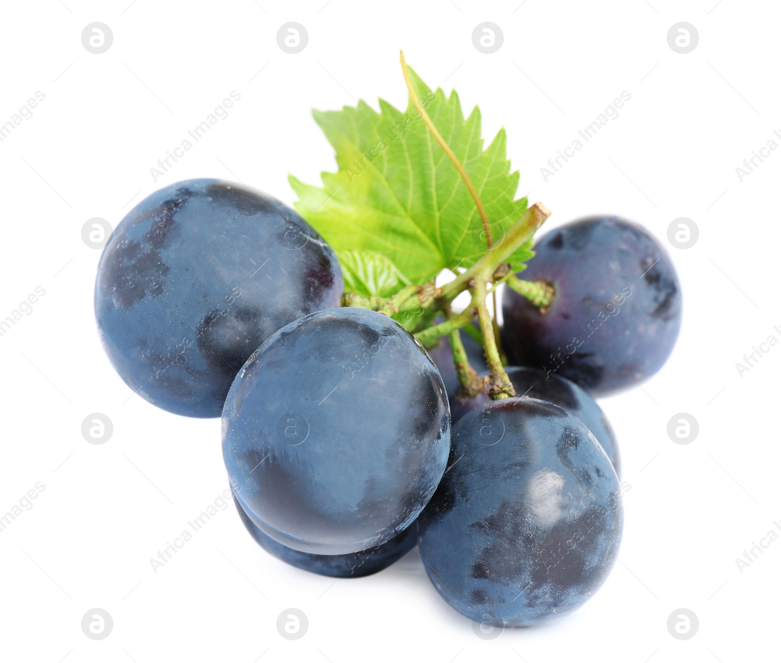 Photo of Fresh ripe juicy black grapes isolated on white