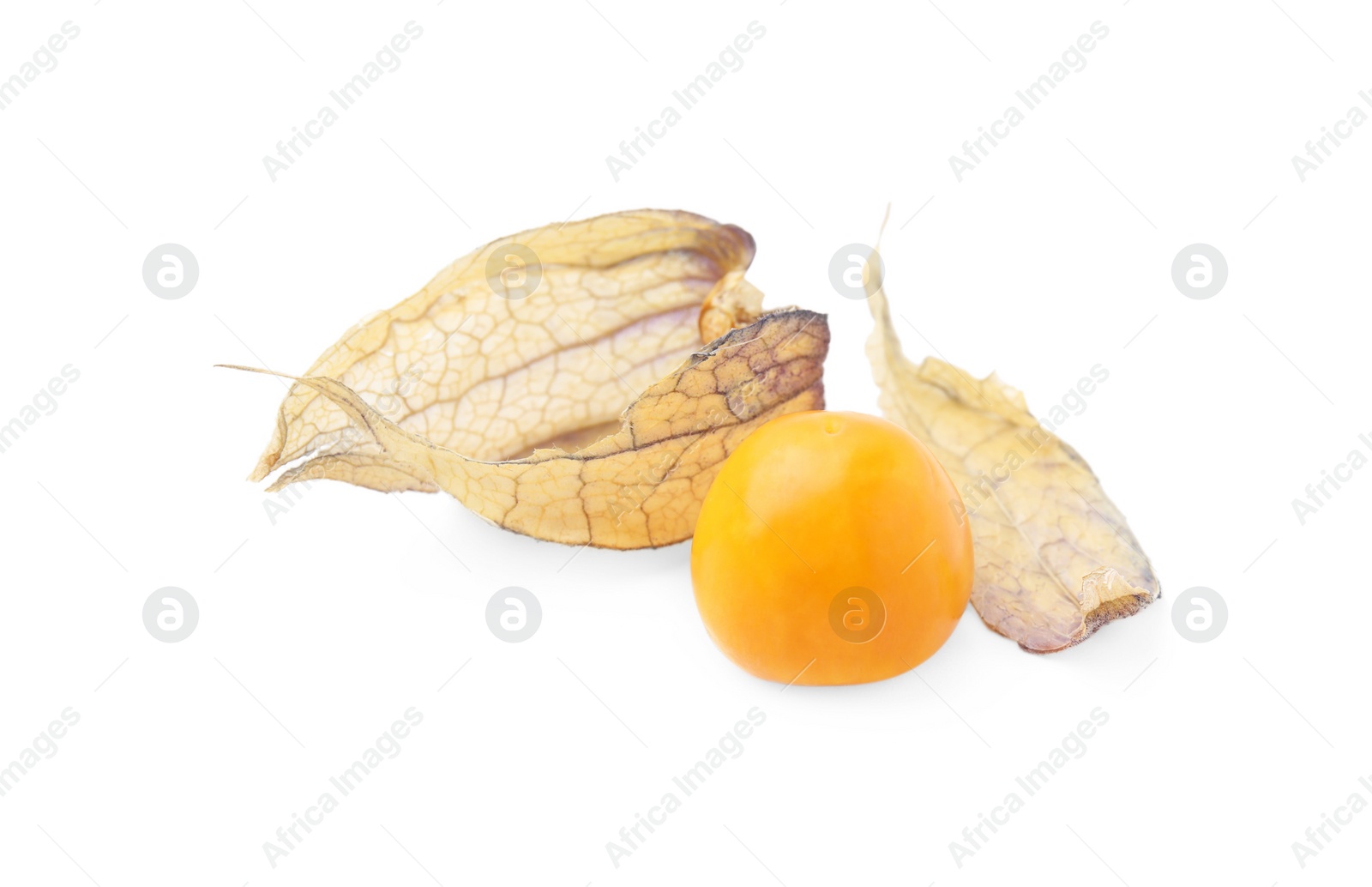 Photo of Ripe physalis fruit with calyx isolated on white