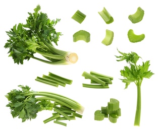 Collage with fresh green celery on white background